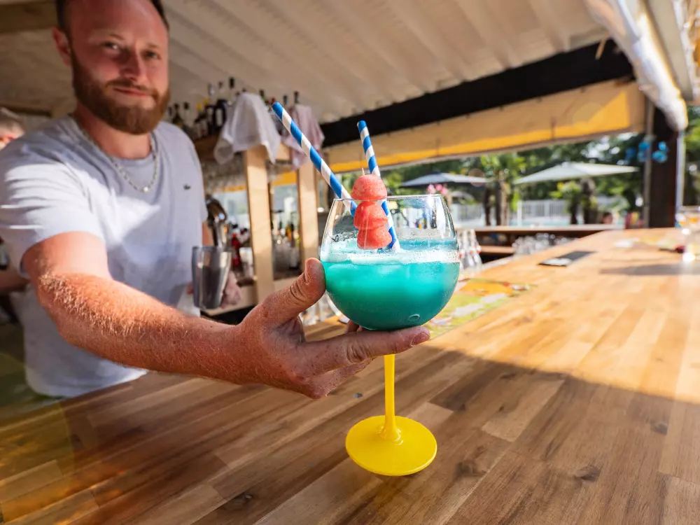 Camping Les Goélands 31 étoiles★ - Plage