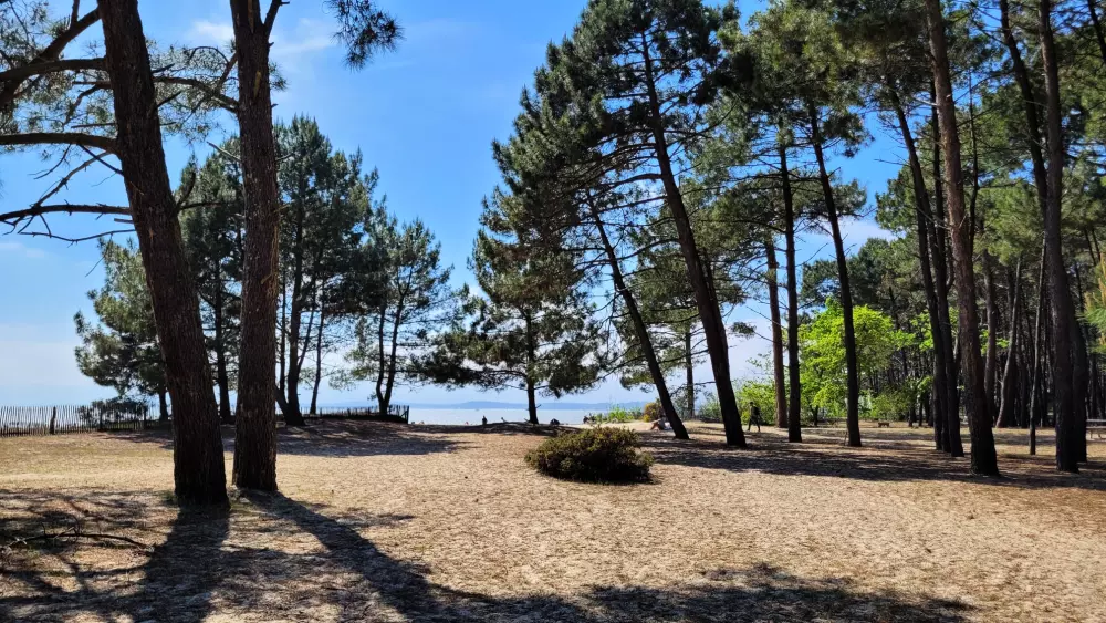 Camping Les Goélands 31 étoiles★ - Plage