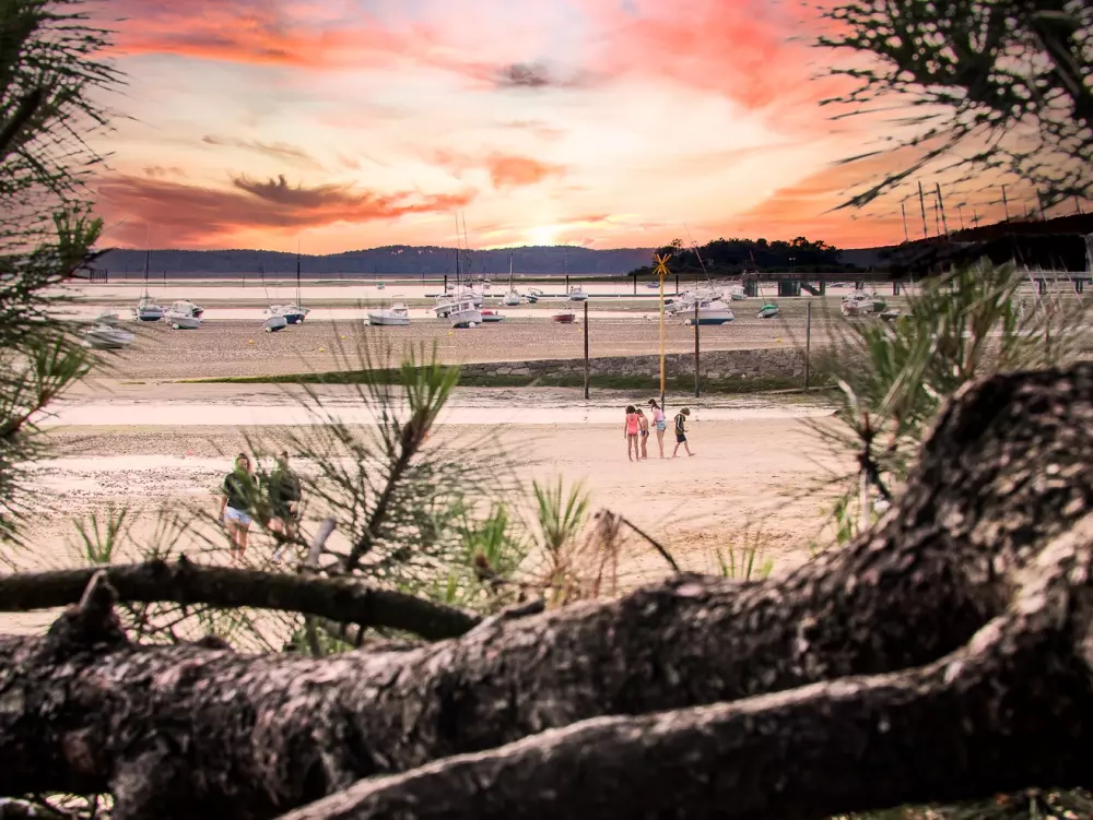 Camping Les Goélands 31 étoiles★ - Plage
