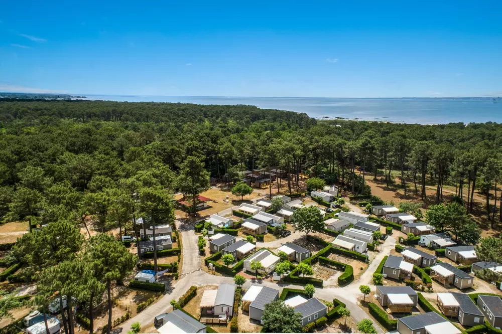 Camping Les Goélands 31 étoiles★ - Plage