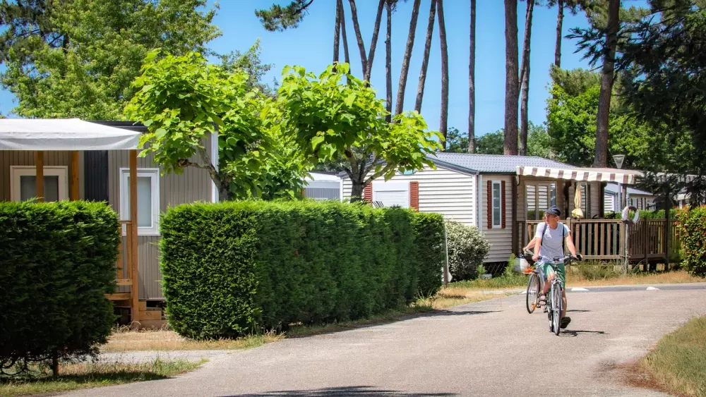 Camping Les Goélands 31 étoiles★ - Plage