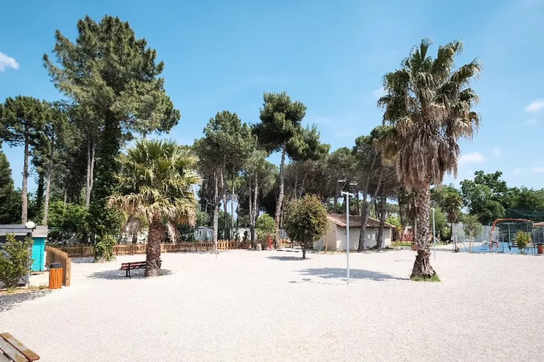 Camping Taxo Les Pins 4 étoiles★★★★