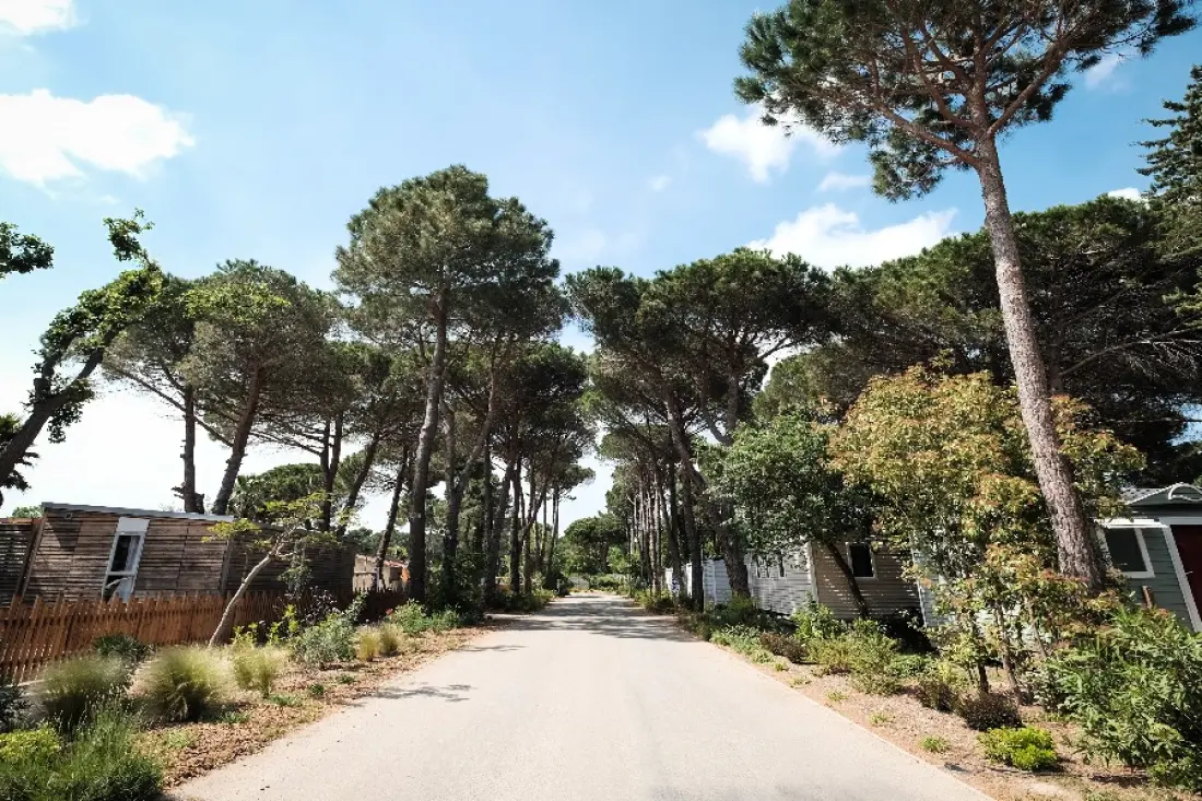Camping Taxo Les Pins 4 étoiles★★★★