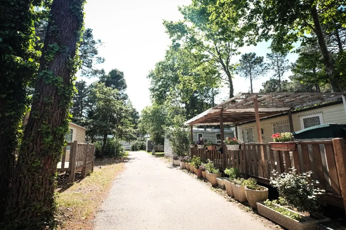 Camping Taxo Les Pins 4 étoiles★★★★