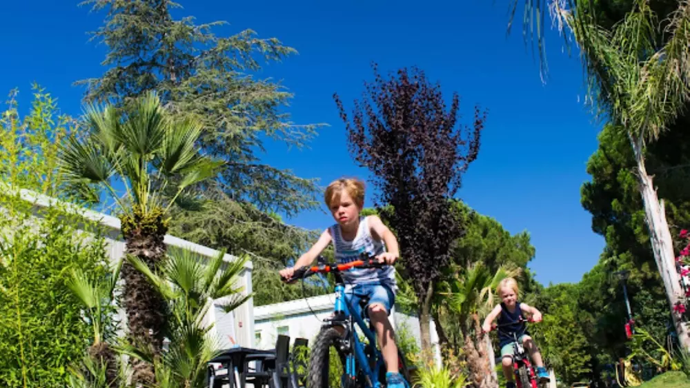 Camping L'Hippocampe 5 étoiles★★★★★