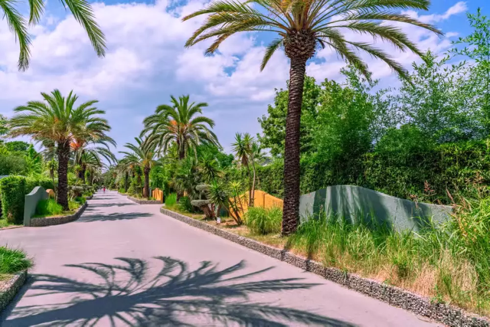 Camping La Sirène 5 étoiles★★★★★