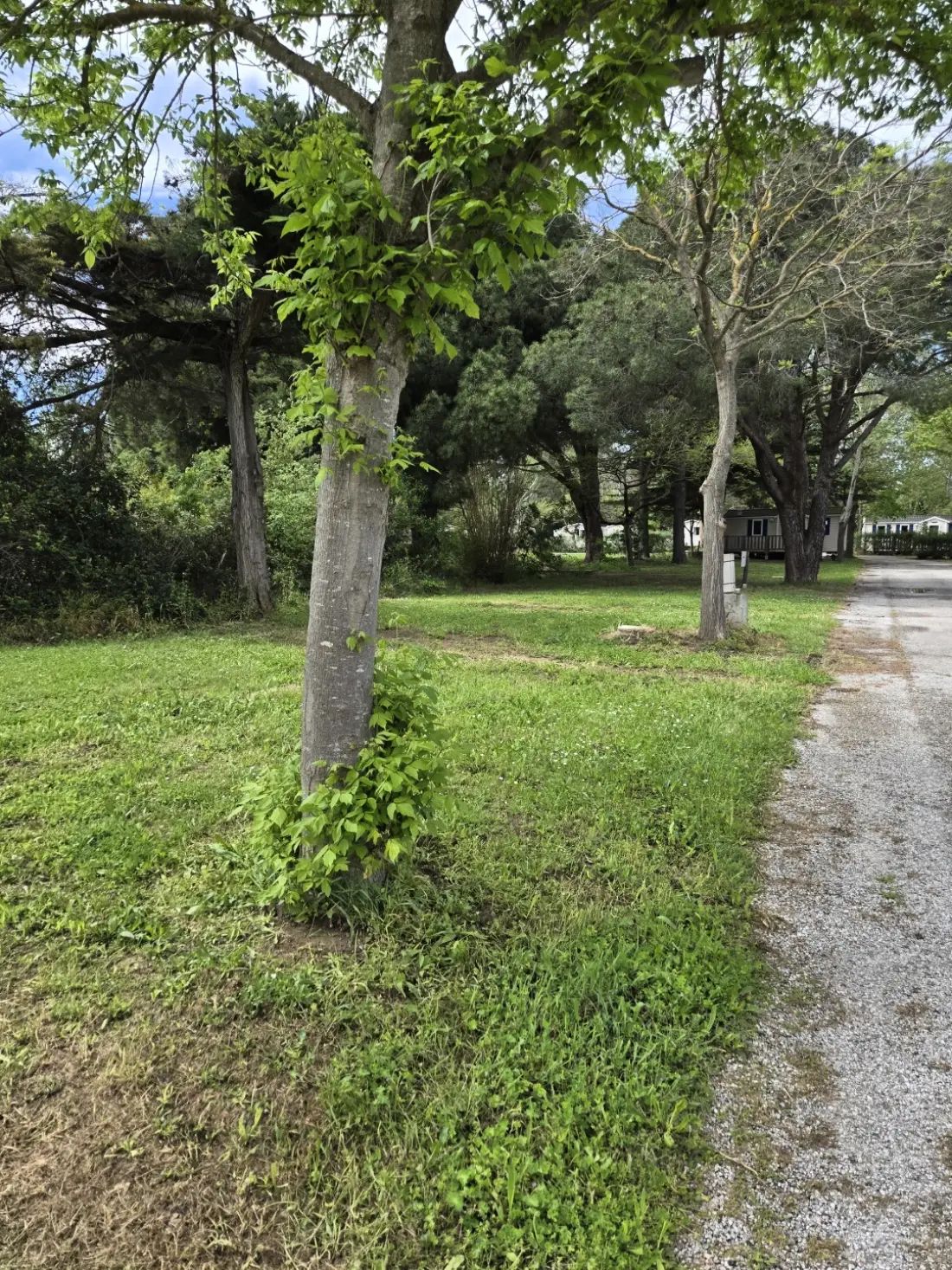 Camping maeva Escapades Les Abricotiers