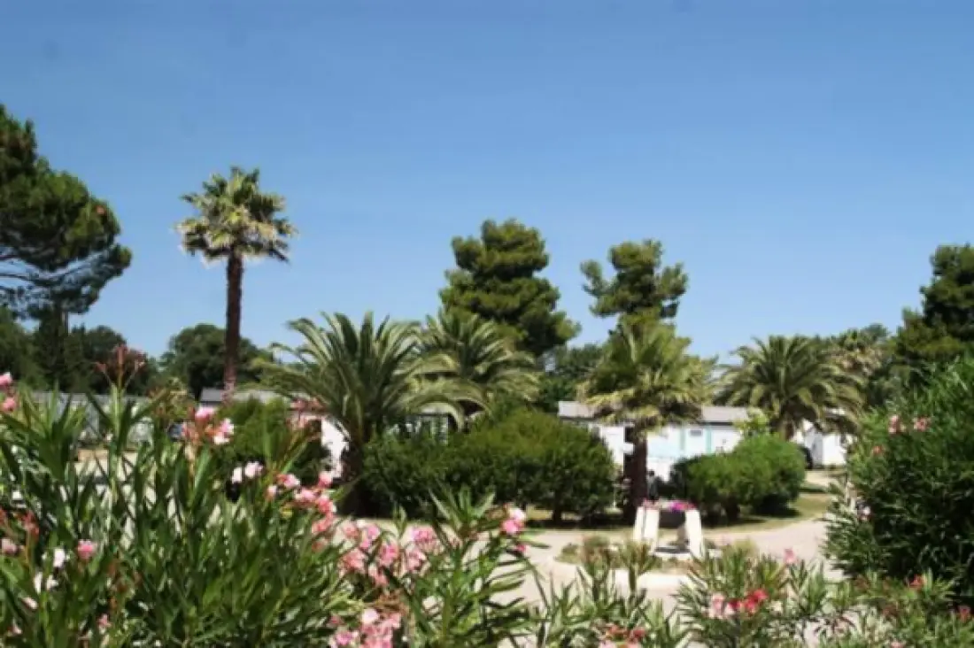 Camping Paradis Le Pearl 4 étoiles★★★★