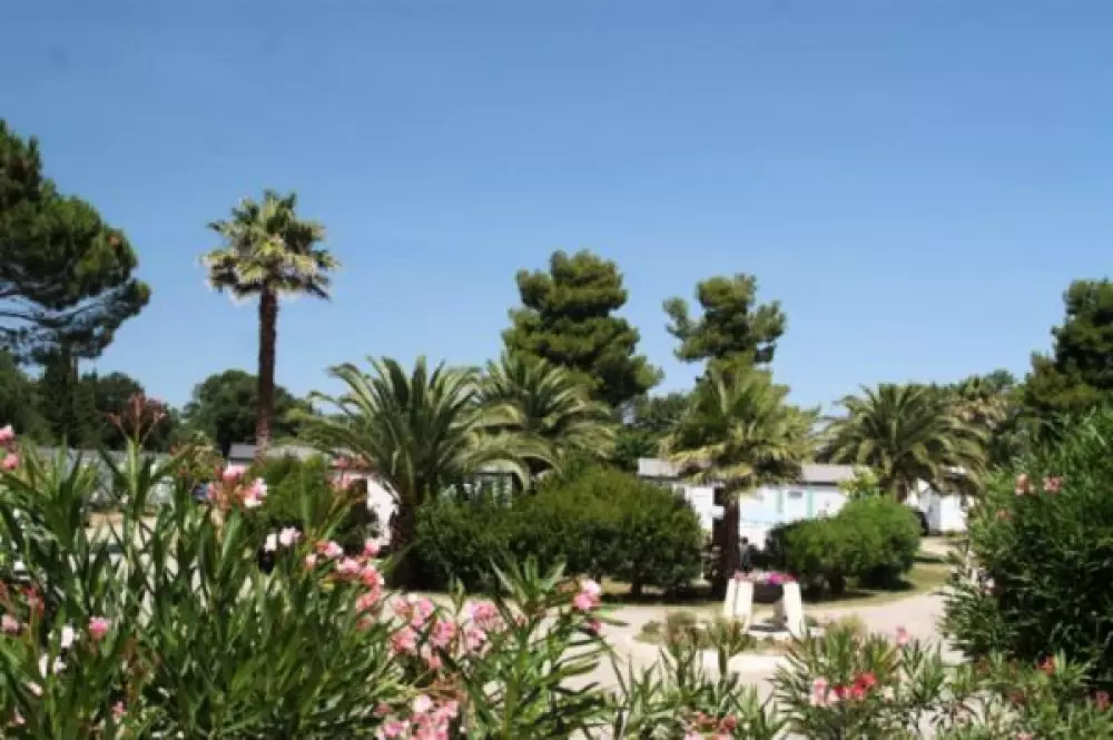 Camping Paradis Le Pearl 4 étoiles★★★★