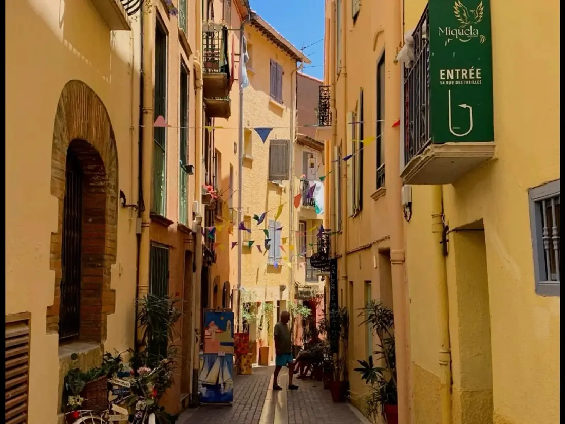 Location de Vacances Argelès-sur-Mer 315