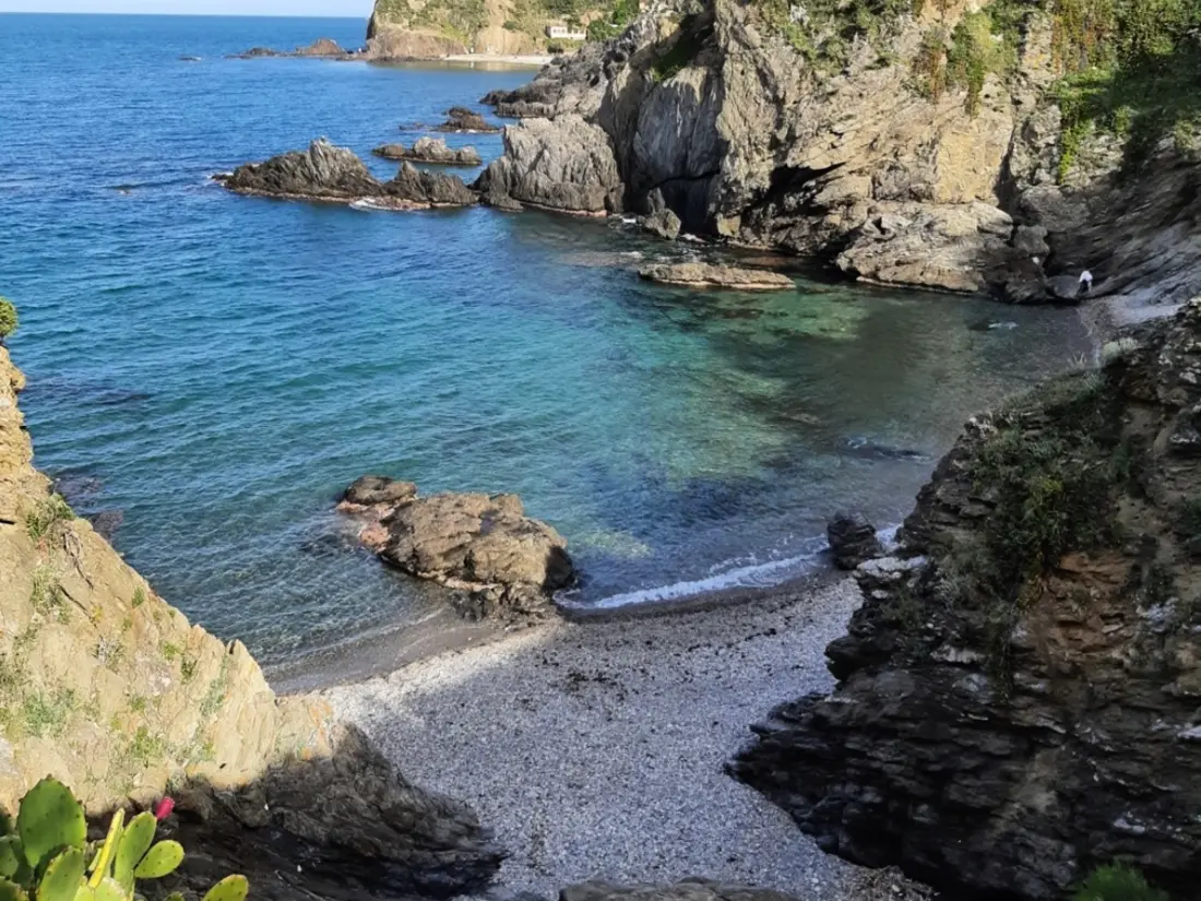 Location de Vacances Argelès-sur-Mer 315