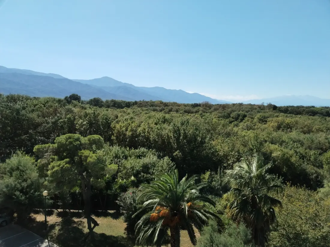 Location de Vacances Argelès-sur-Mer 423
