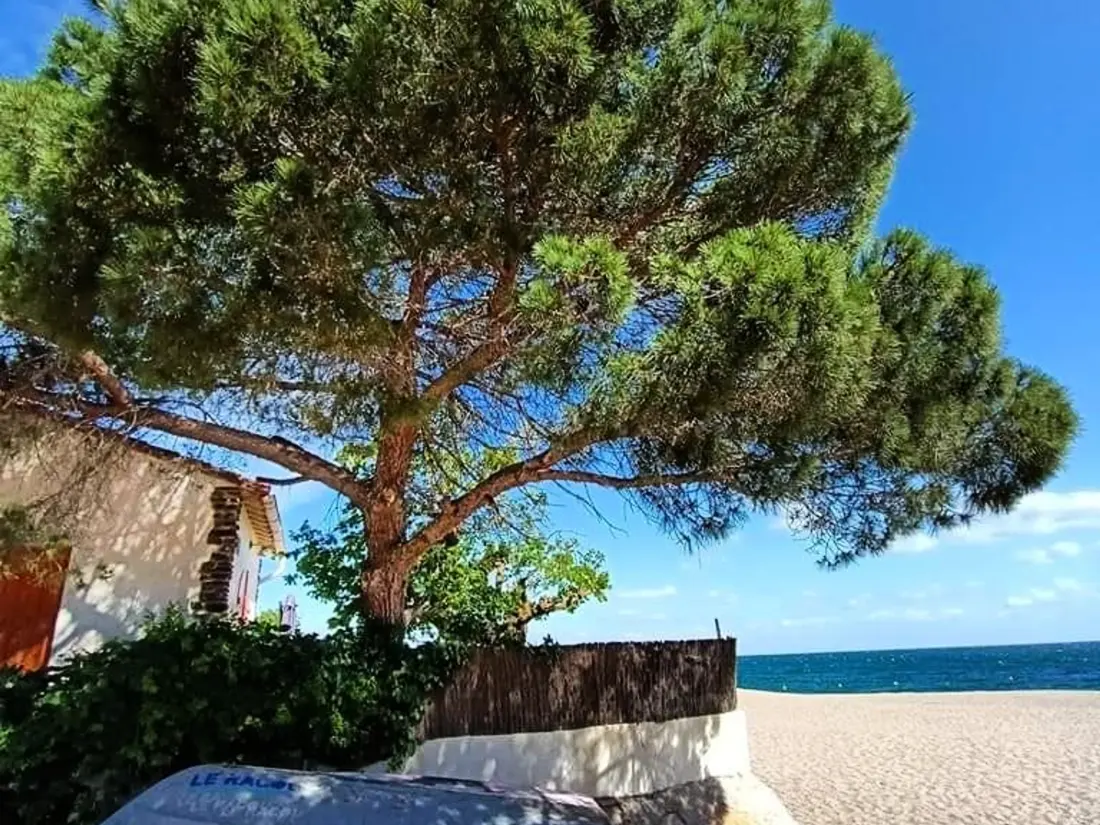 Location de Vacances Argelès-sur-Mer 532