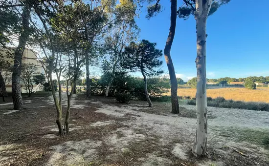 Location de Vacances Argelès-sur-Mer 552