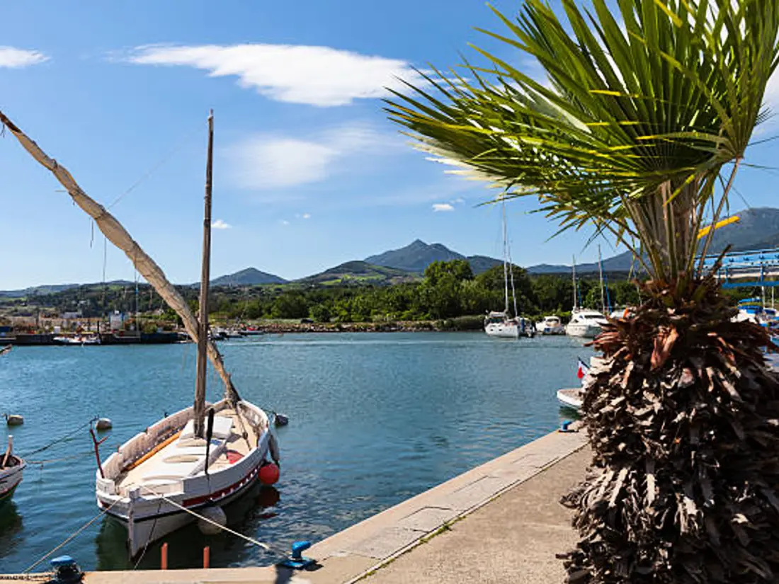 Location de Vacances Argelès-sur-Mer 551