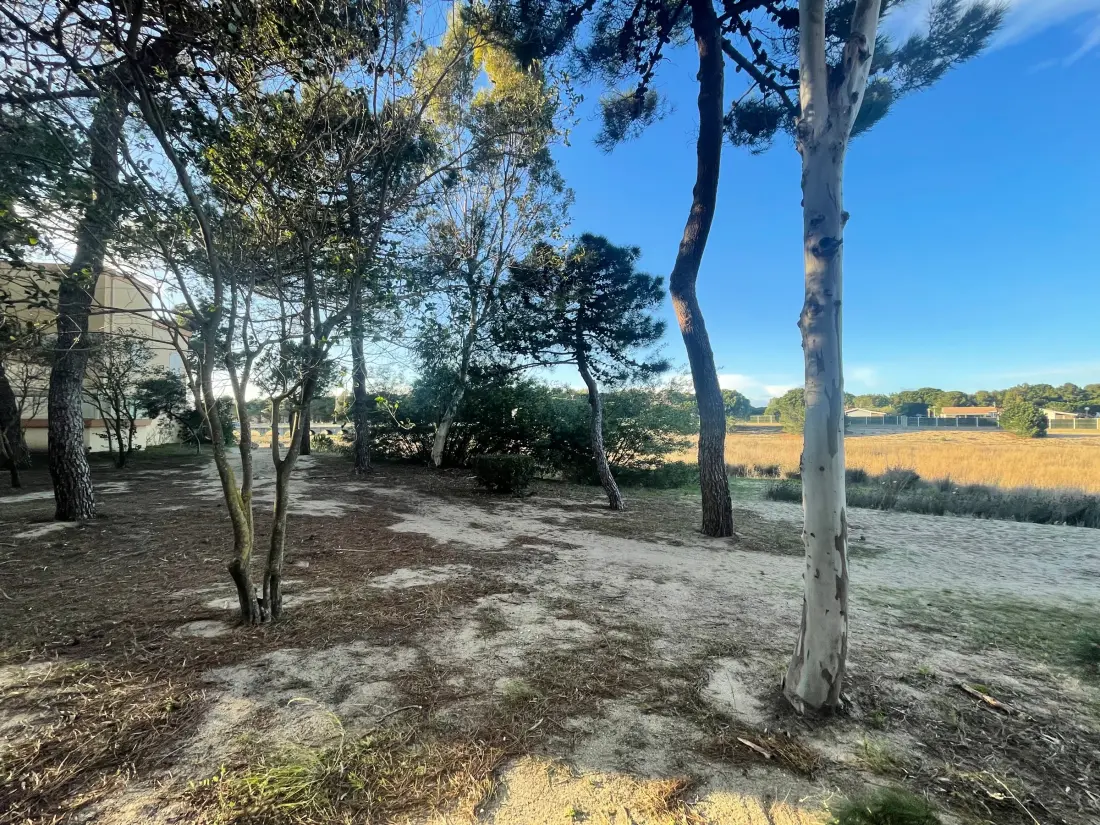 Location de Vacances Argelès-sur-Mer 552