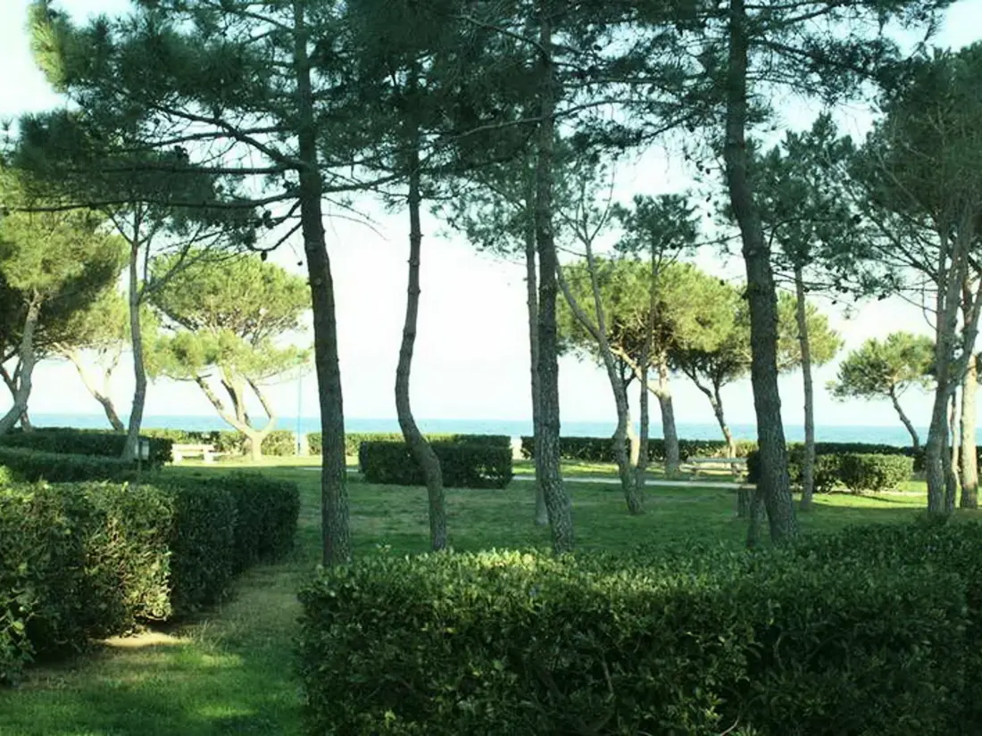 Location de Vacances Argelès-sur-Mer 554