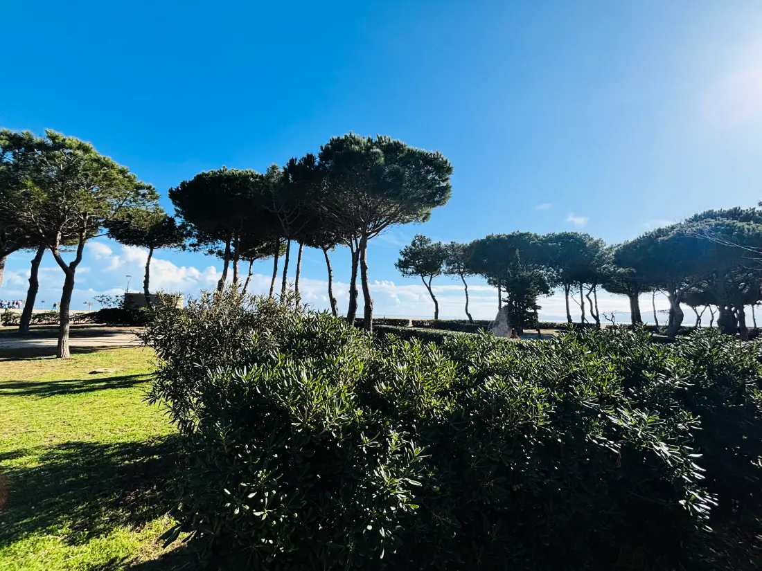 Location de Vacances Argelès-sur-Mer 557