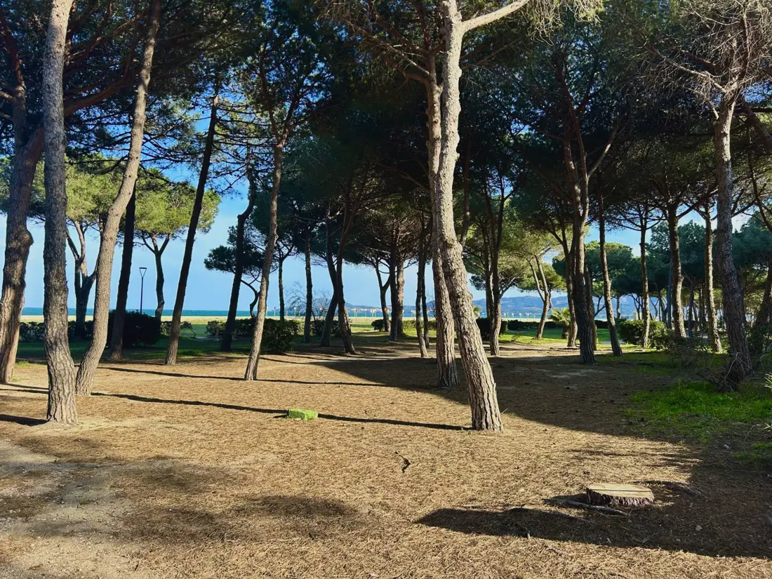 Location de Vacances Argelès-sur-Mer 588