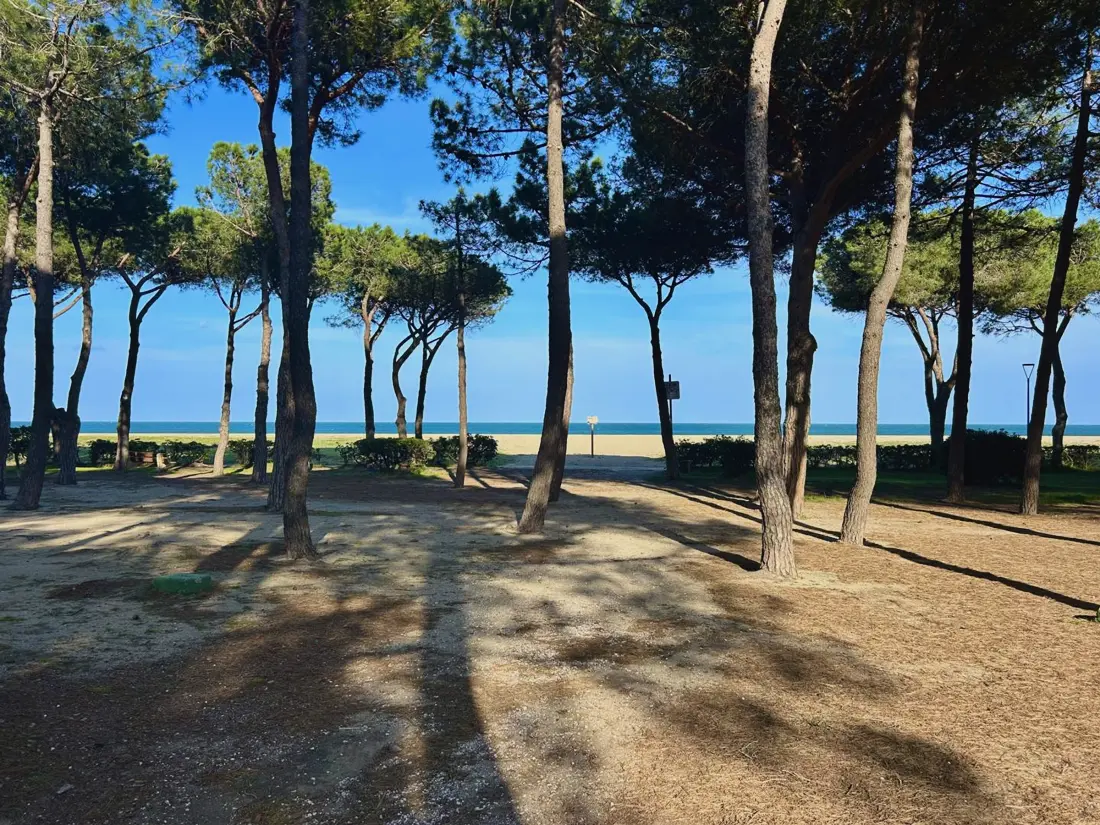 Location de Vacances Argelès-sur-Mer 588