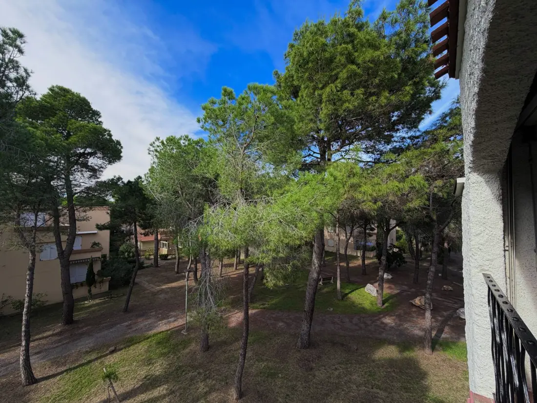 Location de Vacances Argelès-sur-Mer 682