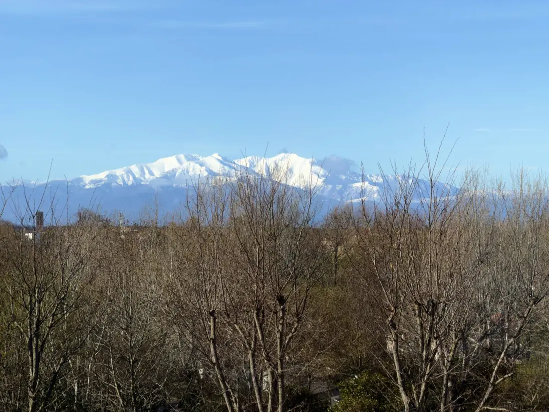 Location de Vacances Argelès-sur-Mer 753
