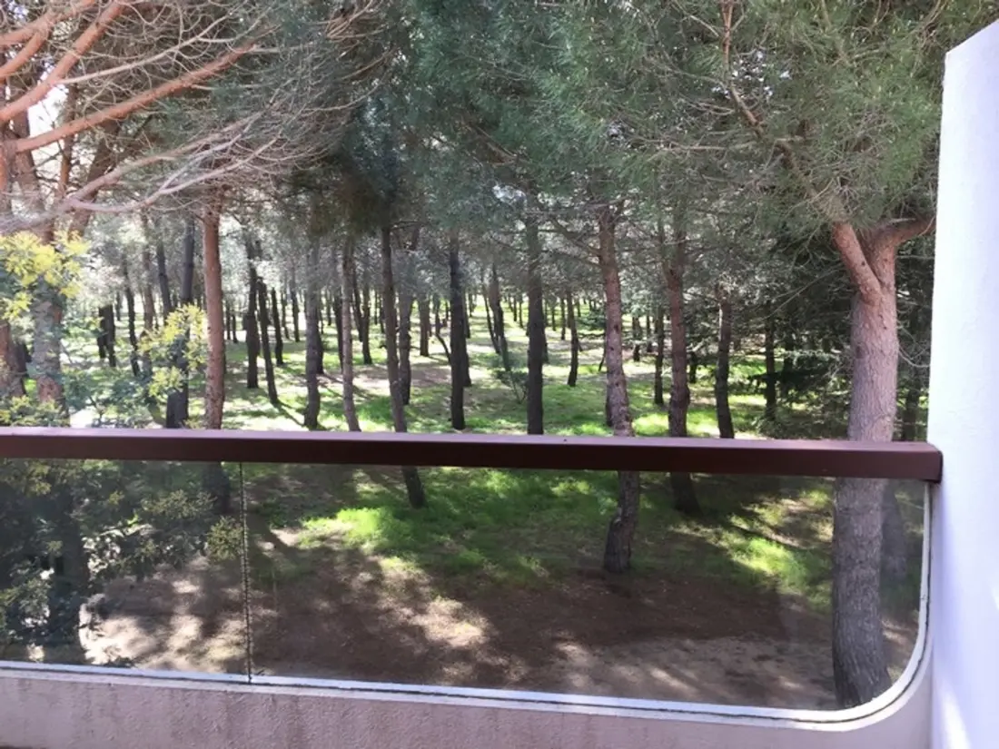 Location de Vacances Argelès-sur-Mer 781