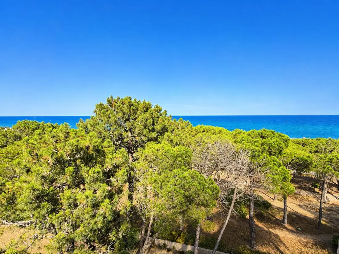 Location de Vacances Argelès-sur-Mer 845
