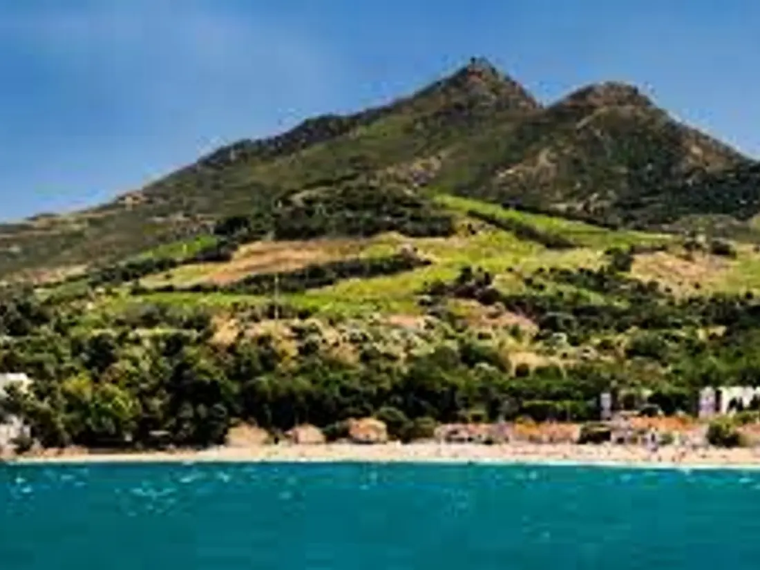 Maison de Vacances Argelès-sur-Mer 306