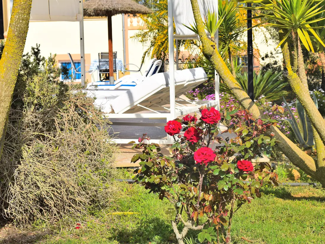 Maison de Vacances Ariany 10