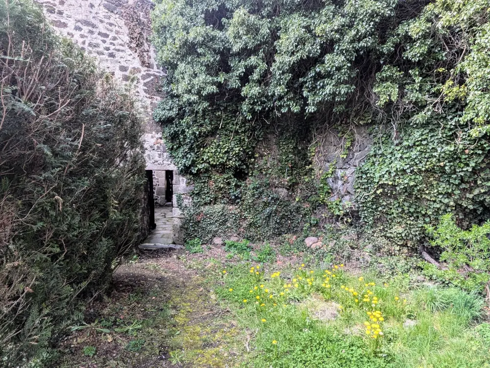 Maison de Vacances Arlempdes 6