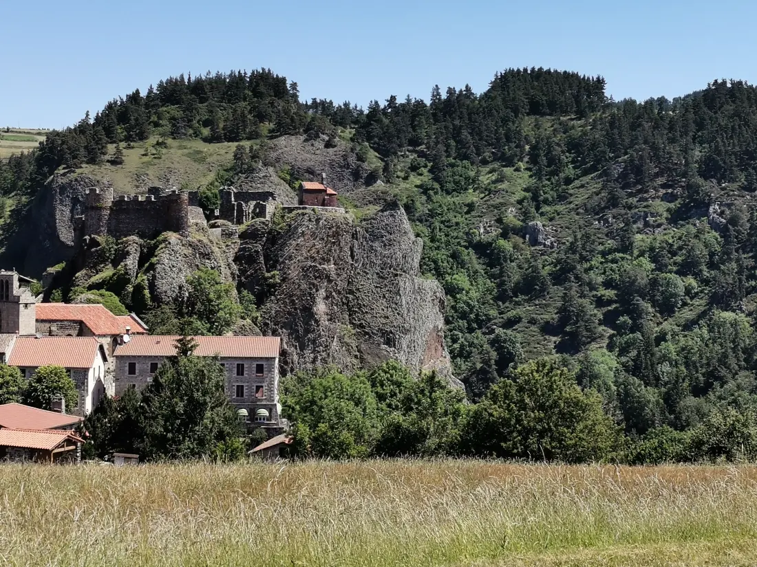 Maison de Vacances Arlempdes 8