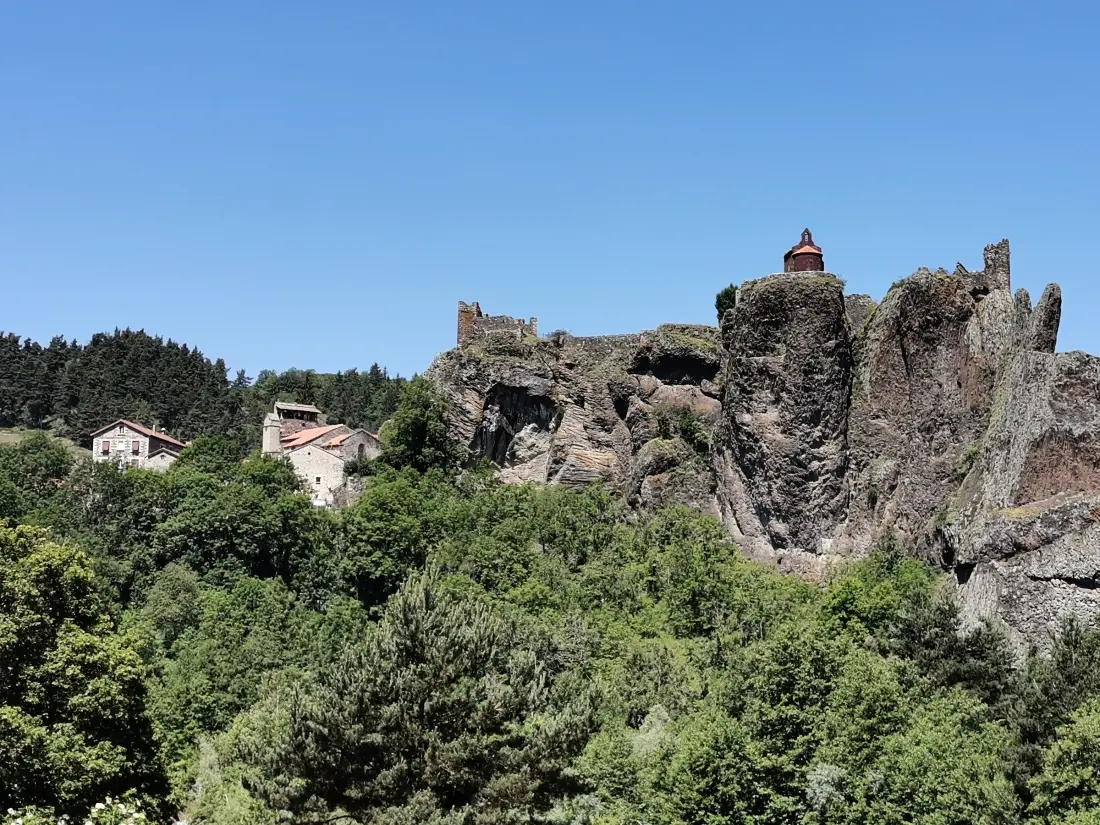 Maison de Vacances Arlempdes 8