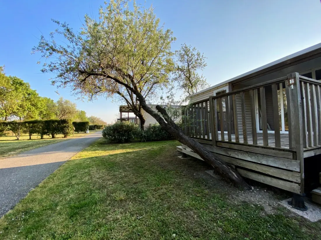 Camping Domaine du Crin Blanc3 étoiles★★★