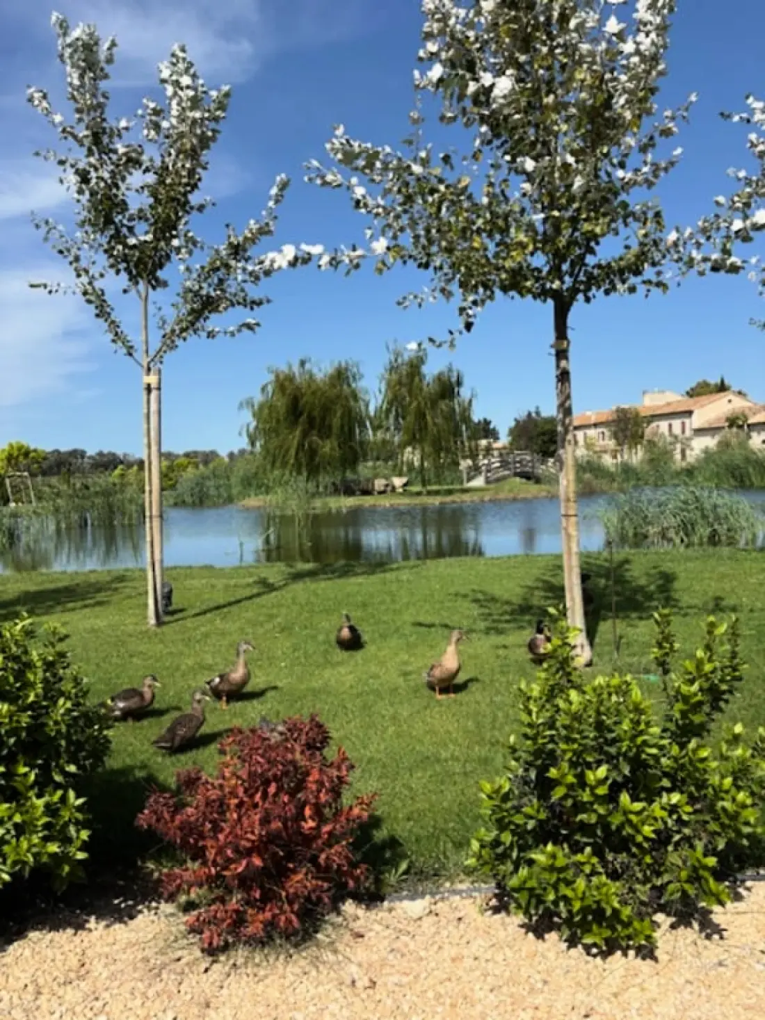 Le Mas Caladoc – Domaine De Luxe Avec Spa Privatif En Provence