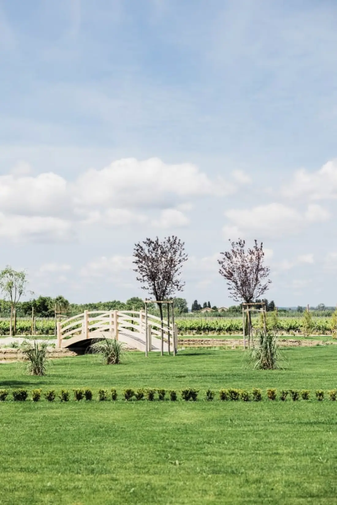Le Mas Caladoc – Domaine De Luxe Avec Spa Privatif En Provence
