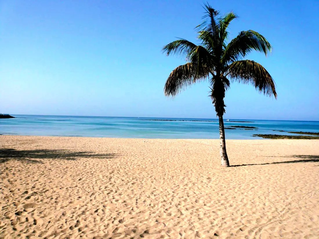 Location de Vacances Arrecife 21