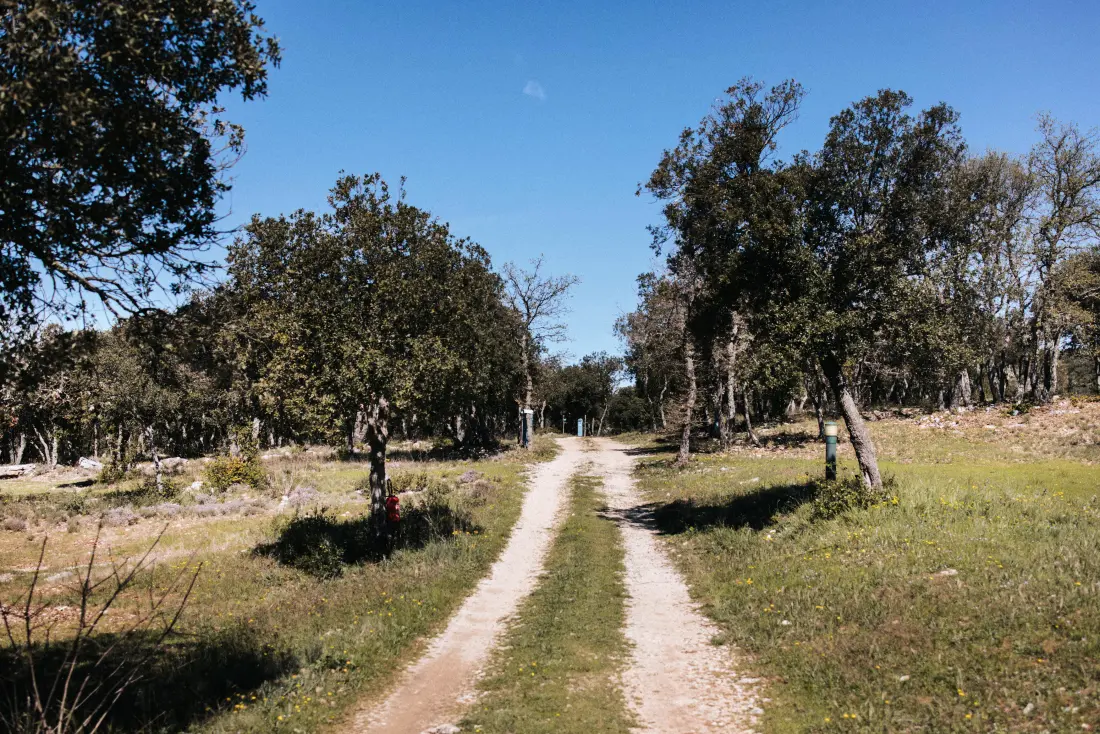 Camping Liberté Verdon