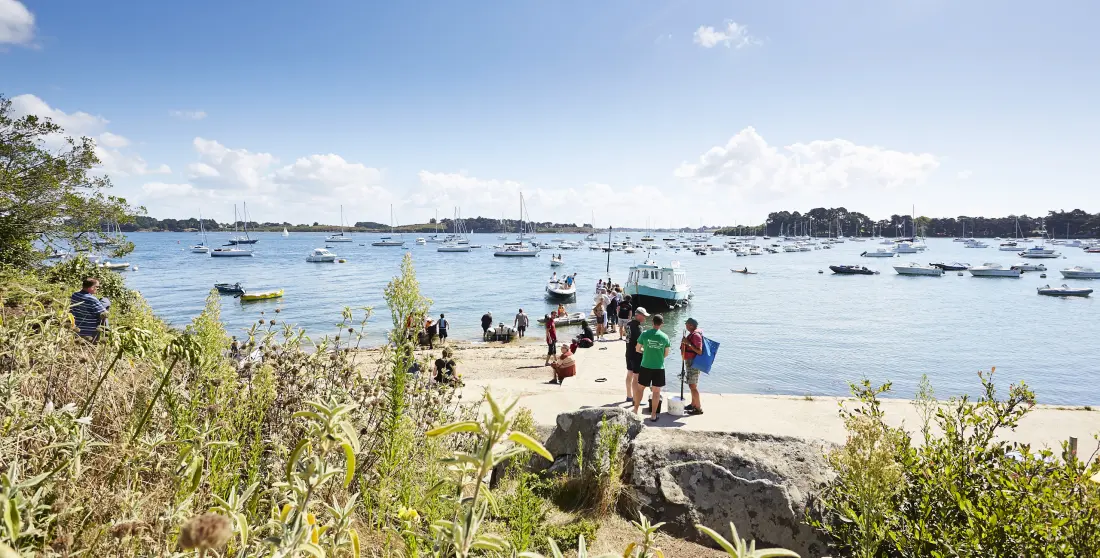 Appartements à Arzon - Port Crouesty