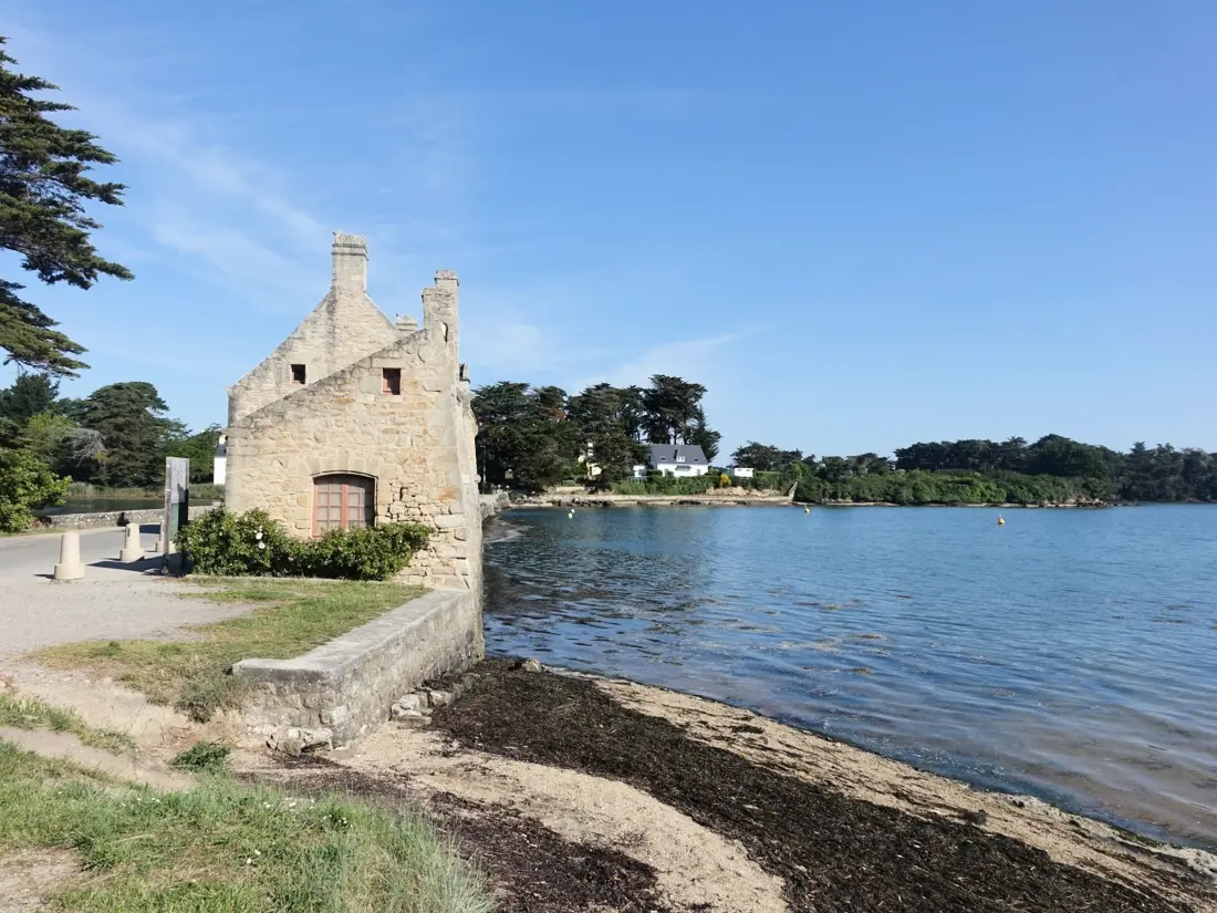 Location de Vacances Arzon 101