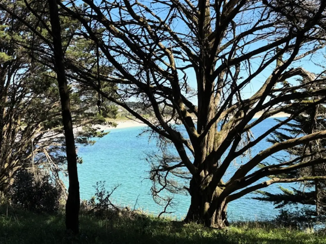 Location de Vacances Arzon 101