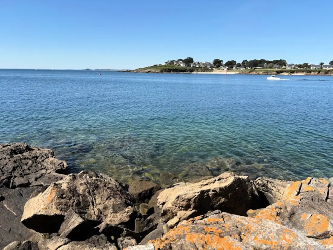 Location de Vacances Arzon 101