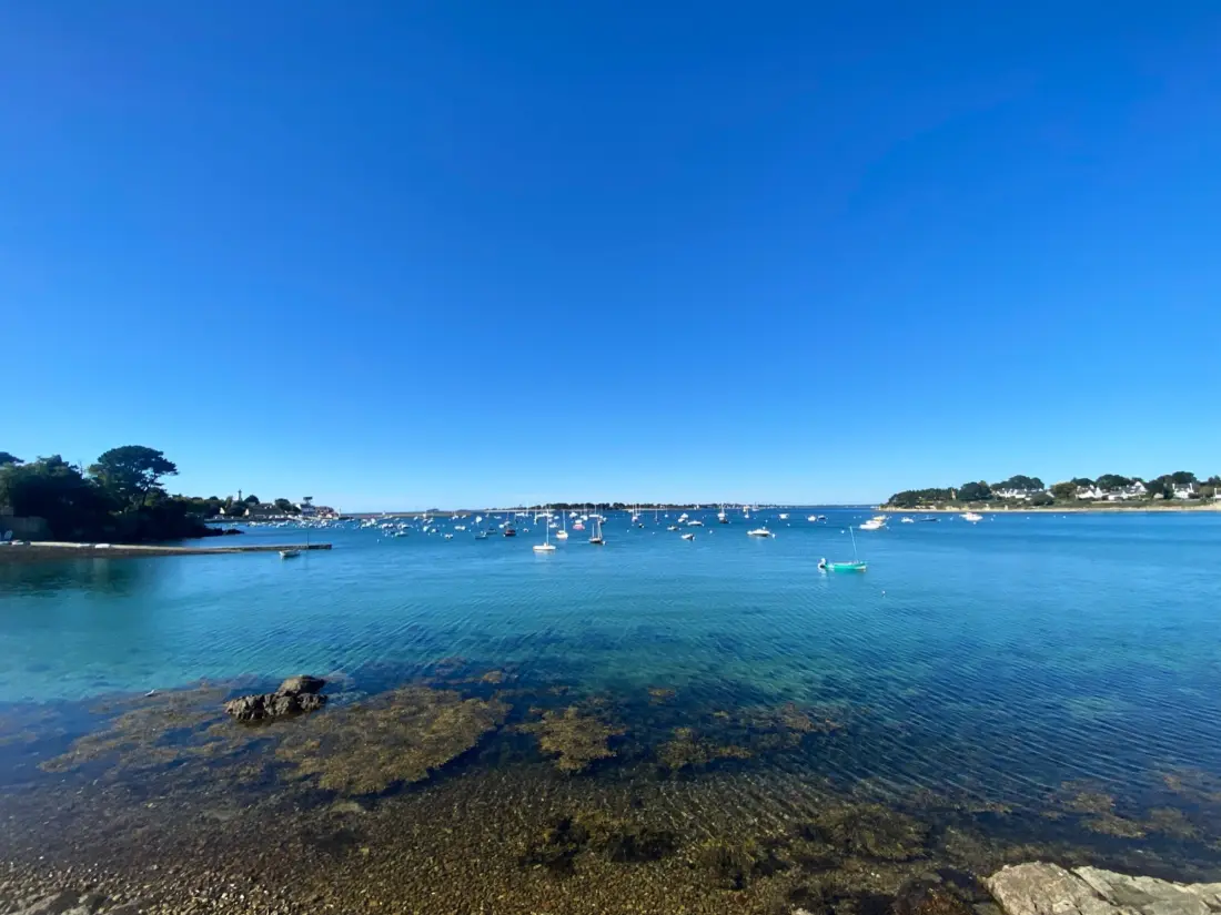 Location de Vacances Arzon 127