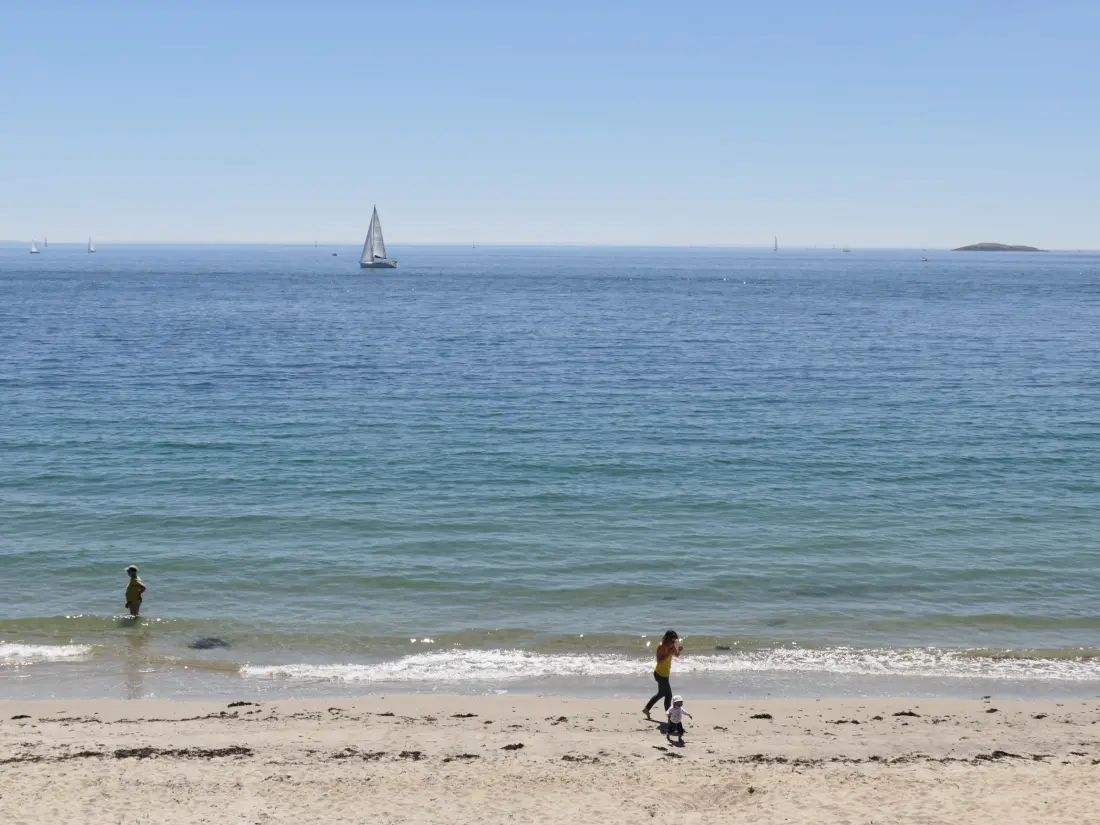 Location de Vacances Arzon 135
