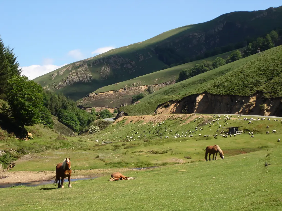 Camping Europ'Camping 4 étoiles★★★★