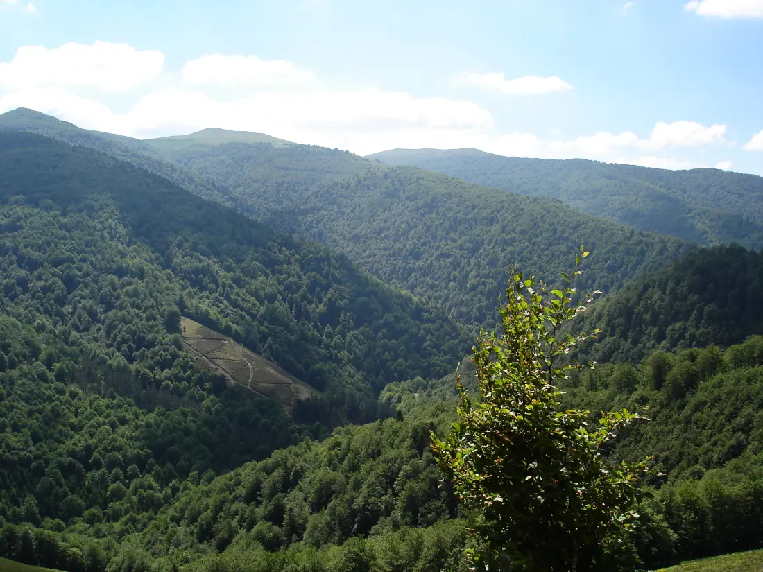 Camping Europ'Camping 4 étoiles★★★★