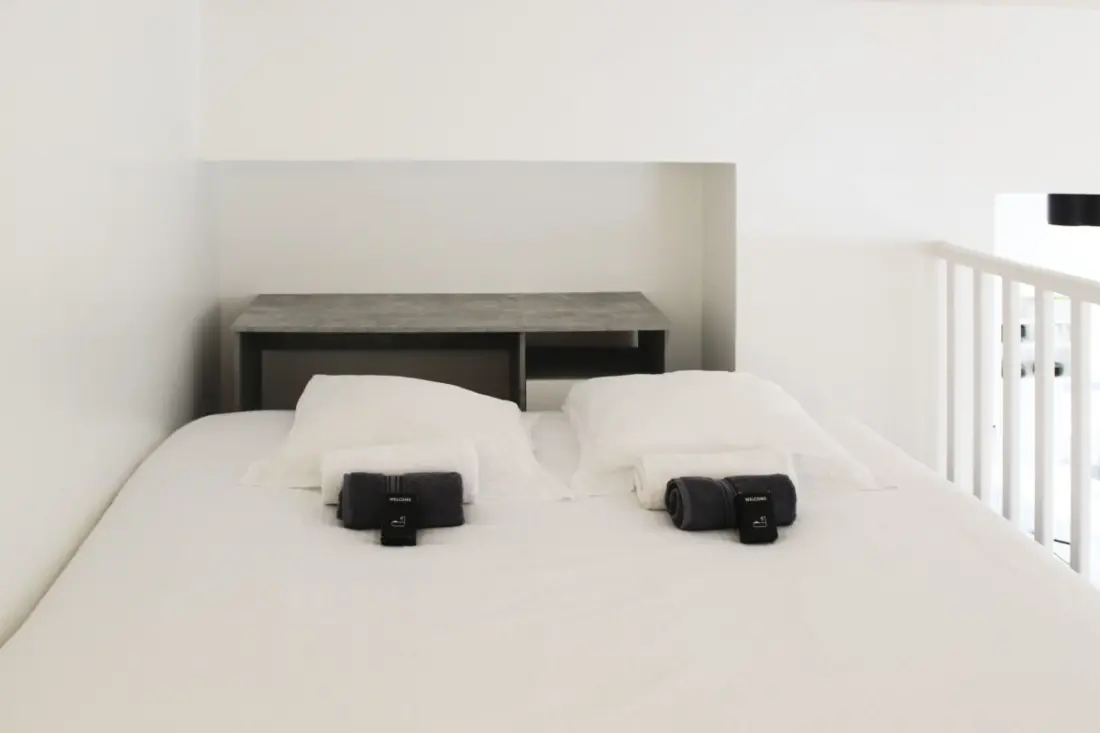 Appartement Lumineux Avec Mezzanine à Asnières