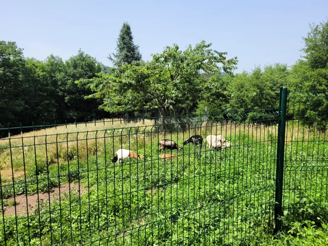 Gîte de France Gite capucine 2 épis