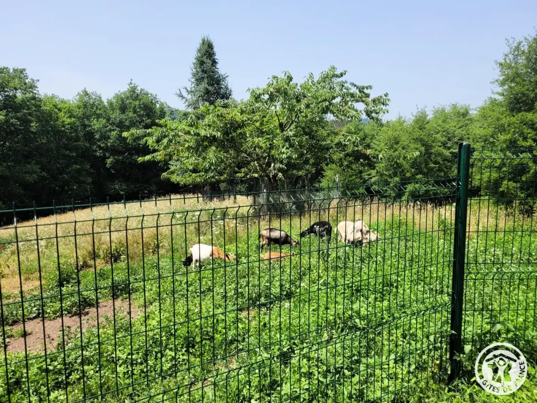 Gîte de France Gite capucine 2 épis