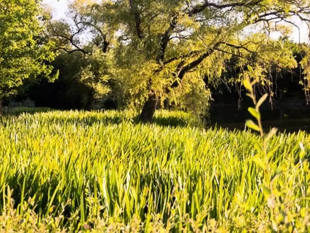 Camping Campilo 4 étoiles★★★★